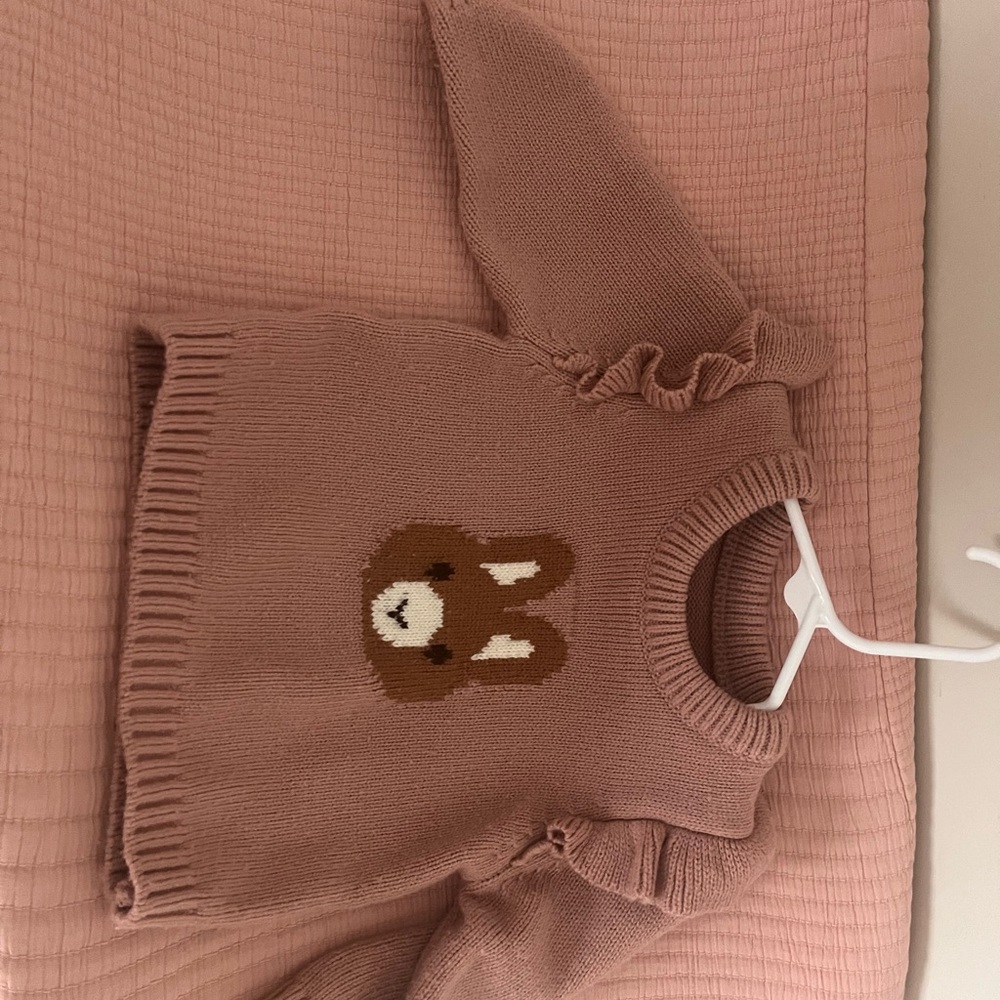Adorable Pink Sweater with Bunny Design with ruffle pants